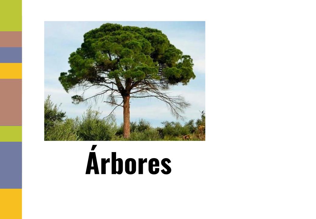 Portada árbores