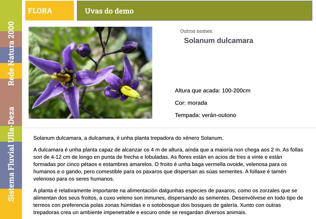 Uvas do demo