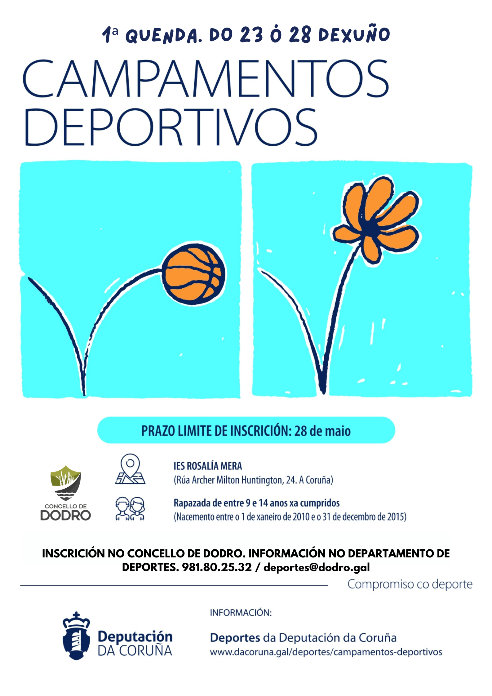 Campamentos deportivos de verán