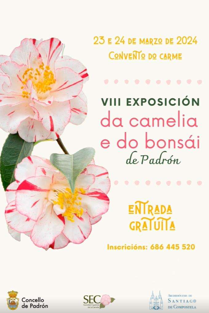 Exposición da Camelia e do Bonsai