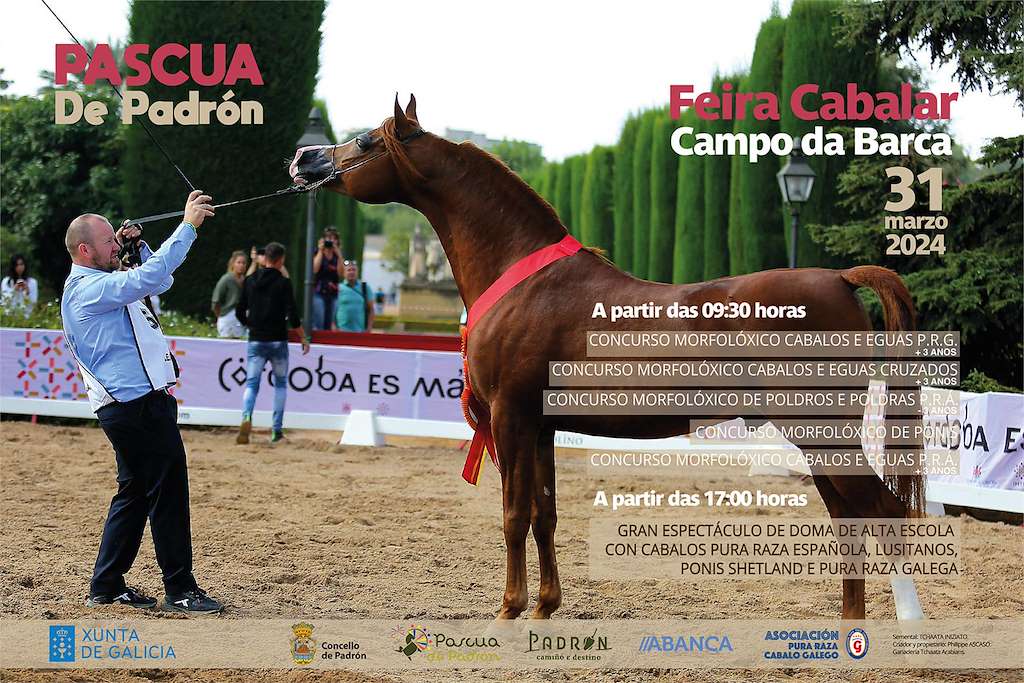 Feira Cabalar Campo da Barca