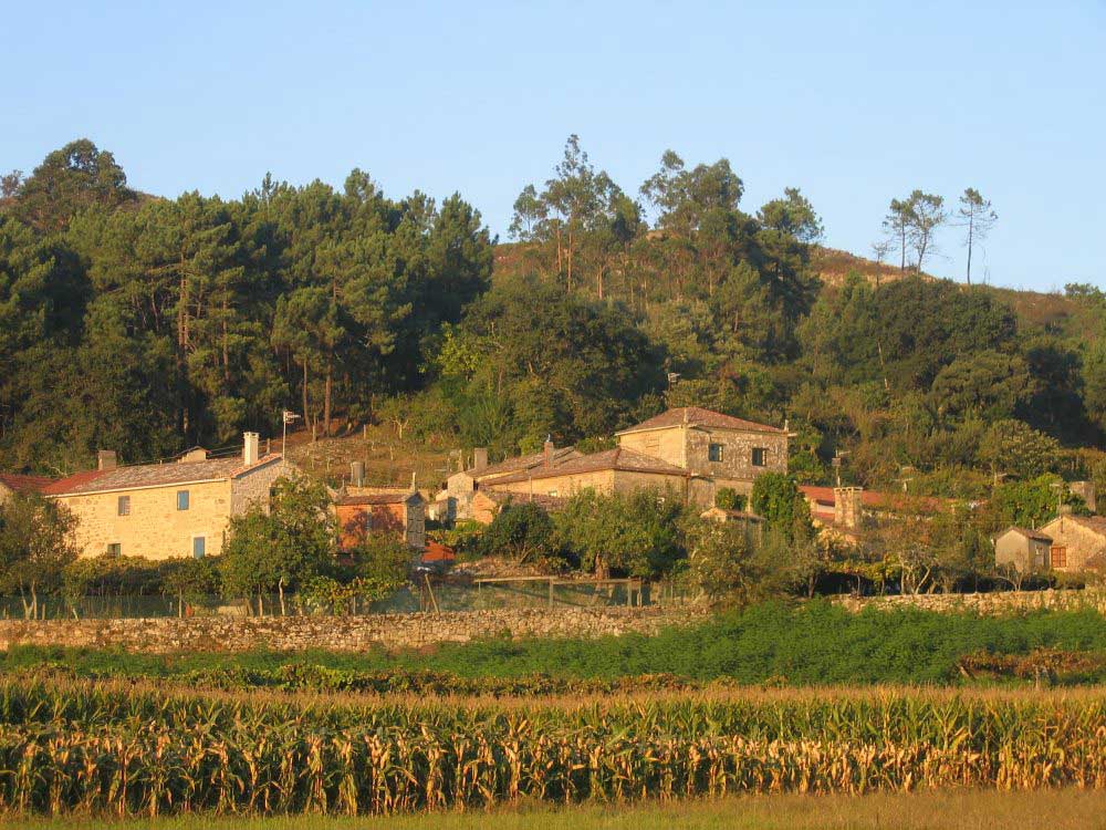 Angueira de Castro